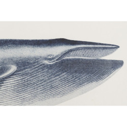 Painting Home ESPRIT Whale 70 x 2,5 x 35 cm (2 Units)