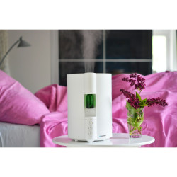 Humidifier Blaupunkt AHA501 White 25 W 4 L