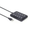 USB Hub GEMBIRD UHB-U2P10P-01