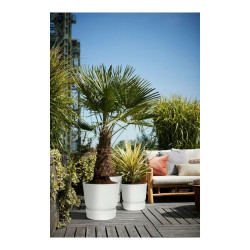 Plant pot Elho 0464344715000 White Circular