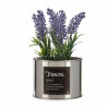 Decorative Plant Plastic Lavendar Can 6 Units