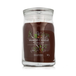 Scented Candle Yankee Candle Praline & Birch 567 g