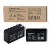 Battery for Uninterruptible Power Supply System UPS Qoltec 53031 9 Ah 12 V