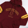 Men’s Hoodie Harry Potter Red