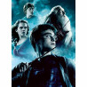 Puzzle Ravensburger Potter & Snape 2 x 500 Pieces