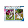 Puzzle Ravensburger Kittens 2 x 500 Pieces