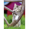 Puzzle Ravensburger Kittens 2 x 500 Pieces