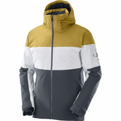 Ski Jacket Salomon Slalom Grey Men