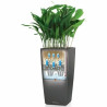 Plant pot Lechuza 40 x 40 x 105 cm Plastic Rectangular