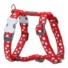 Dog Harness Red Dingo Style Red White Spots 25-39 cm