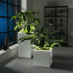 Plant pot Lechuza 40 x 40 x 40 cm White (1 Unit)