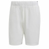 Men's Sports Shorts Adidas Club Stetch White