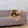 Pet blanket Trixie Laslo Multicolour Polyester 100 x 150 cm