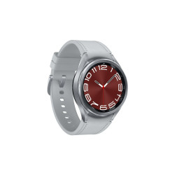 Smartwatch Samsung SM-R955FZSAEUE                  Grey Silver Yes 43 mm