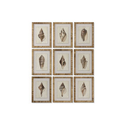 Painting Home ESPRIT Mediterranean Snail 30 x 2,5 x 40 cm (9Units)