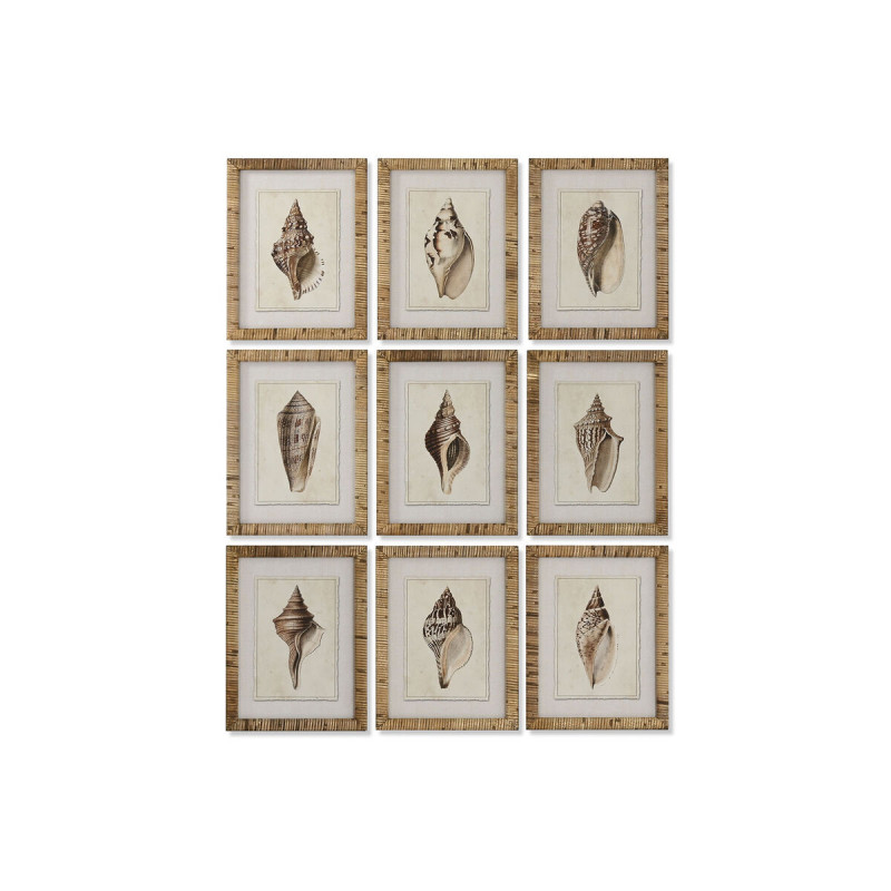 Painting Home ESPRIT Mediterranean Snail 30 x 2,5 x 40 cm (9Units)