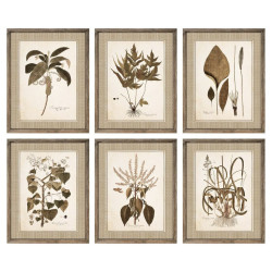 Painting DKD Home Decor 55 x 2,5 x 70 cm Modern Botanical plants (6 Pieces)