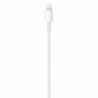 USB-C to Lightning Cable Apple MM0A3ZM/A White 1 m