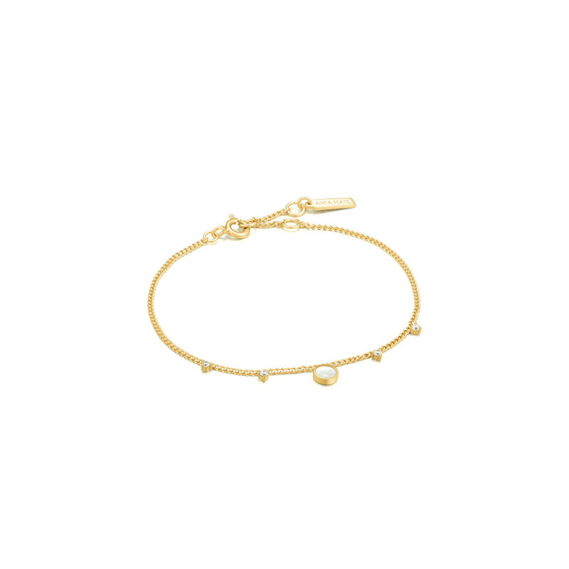 Ladies' Bracelet Ania Haie B022-03G 19 cm