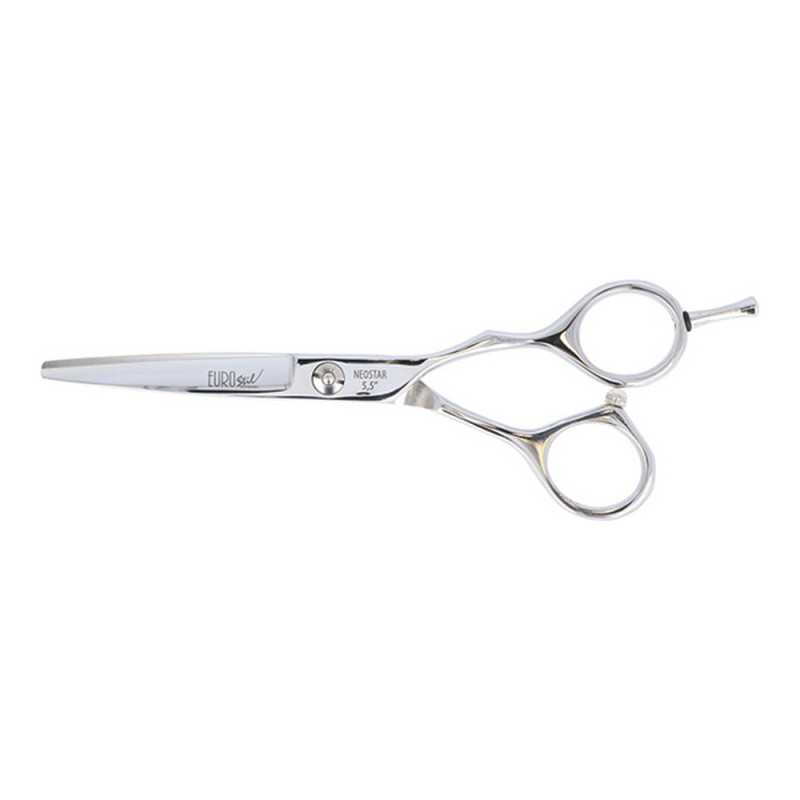 Hair scissors Neostar Eurostil CORTE MICRODENTADA 5,5"