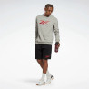 Men’s Sweatshirt without Hood Reebok Identity Grey