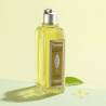 Shower Gel L'occitane Verveine 500 ml Verbena