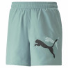 Men's Sports Shorts Puma Ess+ Logo Power Cat For All Time Aquamarine Blue Green