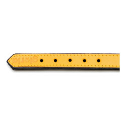 Dog collar Gloria Padded Yellow (50 x 2,5 cm)