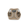 Dog Harness Gloria 24,5-26 cm Beige 18-20 cm