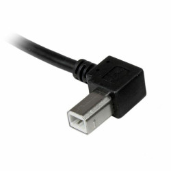 USB A to USB B Cable Startech USBAB3ML             Black