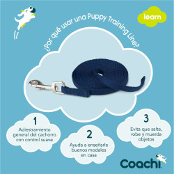 Dog Lead Coachi Blue 2,5 m Training