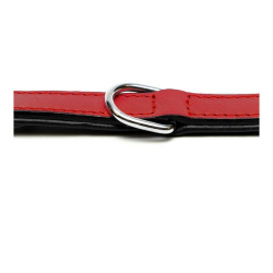 Dog collar Gloria Padded Red 55 cm (55 x 2,5 cm)