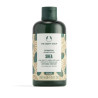 Shampoo The Body Shop Shea 250 ml