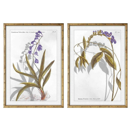 Painting DKD Home Decor 50 x 2 x 70 cm Modern Botanical plants (2 Units)