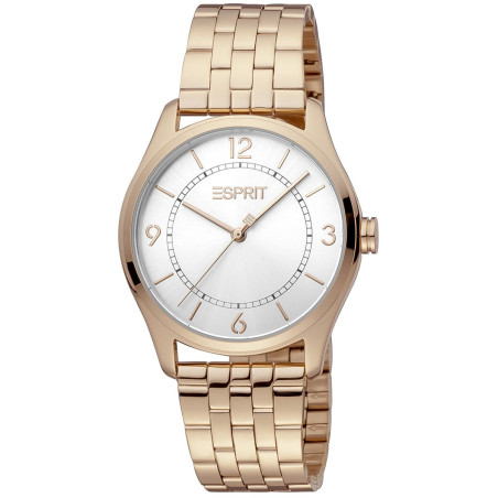 Ladies' Watch Esprit ES1L297M0075