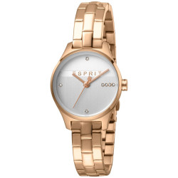 Ladies' Watch Esprit ES1L054M0075