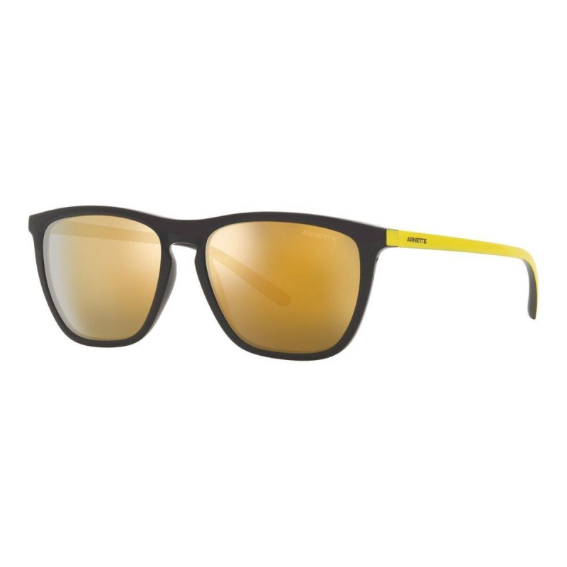 Men's Sunglasses Arnette FRY AN 4301