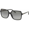 Ladies' Sunglasses Michael Kors MK2098U-300511 ø 56 mm