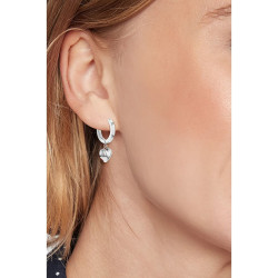 Ladies' Earrings Tommy Hilfiger 2780664