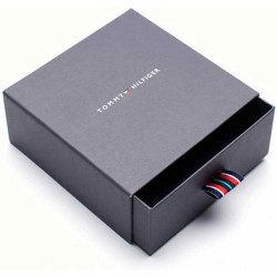 Men's Bracelet Tommy Hilfiger 2790381