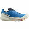 Running Shoes for Adults Salomon Pulsar Trail Blue