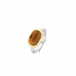 Ladies' Ring Ti Sento 12178TB/54 14