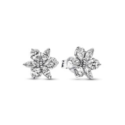 Ladies' Earrings Pandora 292633C01