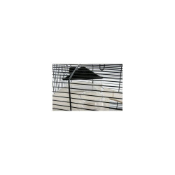 Cage Zolux                                 49 x 71 x 41 cm Metal Glass (1 Piece)