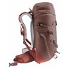 Hiking Backpack Deuter Trail Brown 22 L