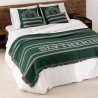 Blanket Harry Potter Slytherin House 230 x 260 cm 230 x 2 x 260 cm