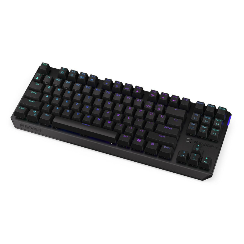 Keyboard Endorfy EY5A081 Black Monochrome Multi