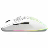 Mouse SteelSeries White