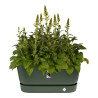 Plant pot Elho 462726936000 Green