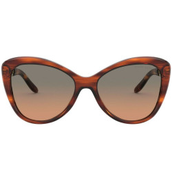 Ladies' Sunglasses Ralph Lauren RL8184-500718 ø 56 mm